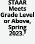 STAAR Meets Grade Level or Above, Spring 2023.3