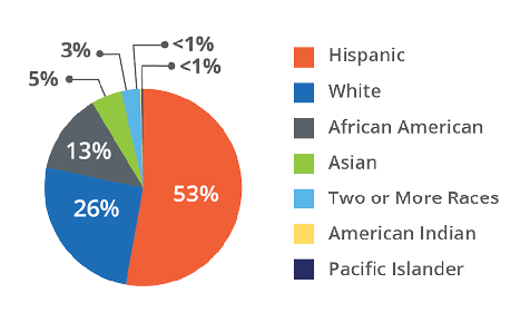 Ethnicity 53% Hispanic 26% White 13% African American 5% Asian 3% Two or More Racess 1% Ameican Indian 1% Pacific Islander